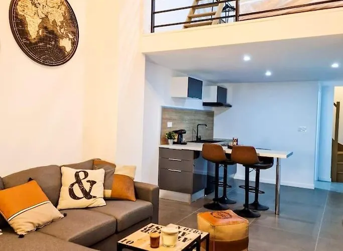 Grand Loft Avec Terrasse Privee